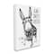 Stupell Industries Hello Sweet Cheeks Animal Humor Donkey Daisies Canvas Wall Art